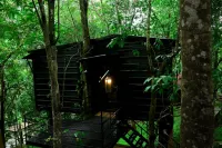 Ranches Jungle Beats - 3-Star