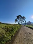 Naki Apartamento Santa Rosa de Cabal - Homestays