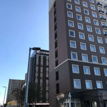 HOTEL LiVEMAX Chibaminato Ekimae