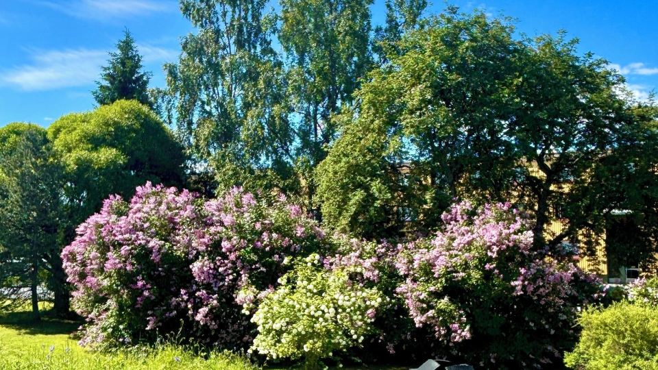 Charming Kemi Apartment With Sauna Department & Free Parking