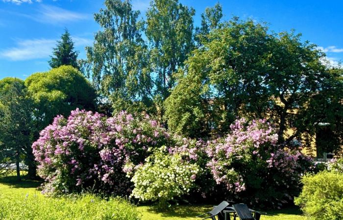 Charming Kemi Apartment With Sauna Department & Free Parking