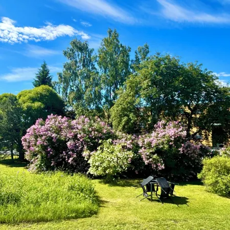Charming Kemi Apartment With Sauna Department & Free Parking