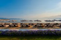 Mount Athos Resort - Wifi
