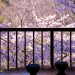 Ryokan Seishounagon - Mountain view
