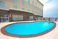 Holiday Inn Express & Suites BOSSIER CITY by IHG - 3-Star