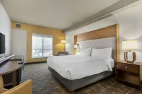 Holiday Inn & Suites OAKLAND - AIRPORT by IHG - bar