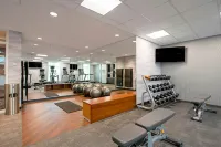 Fairfield Inn & Suites Duluth Waterfront - Gym