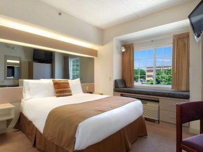 Microtel Inn & Suites by Wyndham Bloomington MSP Airport