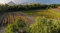 B&B Aut in Fiore - Morgenmad
