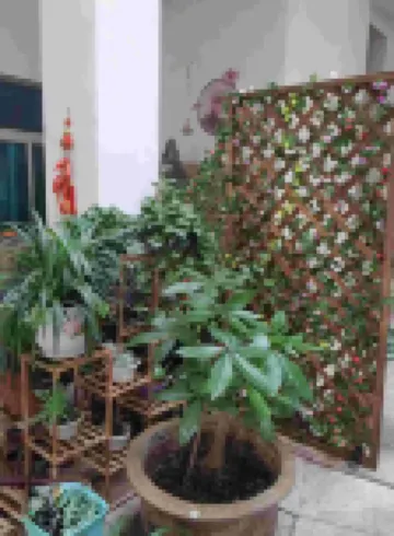 Maitreya Hongxiang Hotel (Honghe Water Town Giant Century Square Branch) Hotels near Wenchang Palace, Miyang