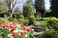 Hotel Weinlaube - Ralf Beaujean Hotels in der Nähe von Braubach