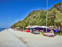 Katarina - Ramah Hewan Peliharaan