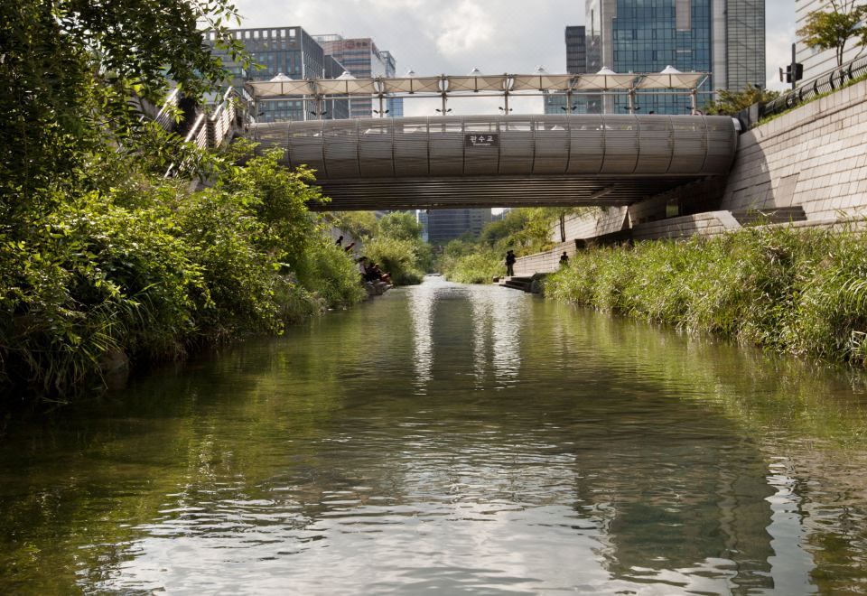 3. 센트럴 관광 호..