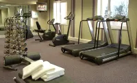 Crowne Plaza DUBLIN AIRPORT by IHG - Gym