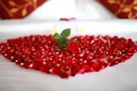 더 니르와라 리조트 & 스파 칸디다사 발리 호텔