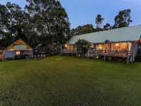 Vineyard Hill