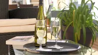 Hotel le Charleston - Pet friendly