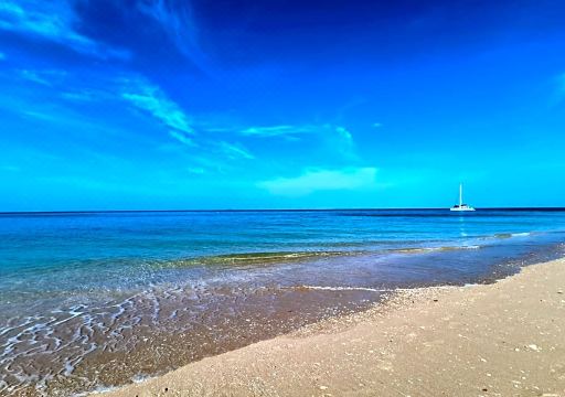 3. 세런디피티..