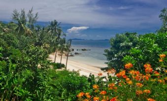 Secret Beach Bungalows