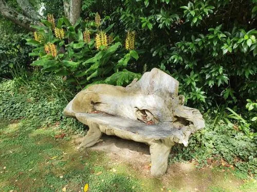 哈夫洛克花園汽車旅館