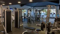 Playabachata - Gym