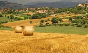 Agriturismo la Ginestrella