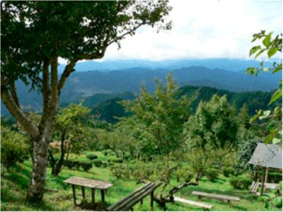 ホテル周辺 ホテル・ヘリテイジ飯能sta.の写真