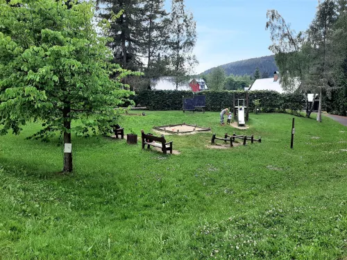 Helena Harrachov