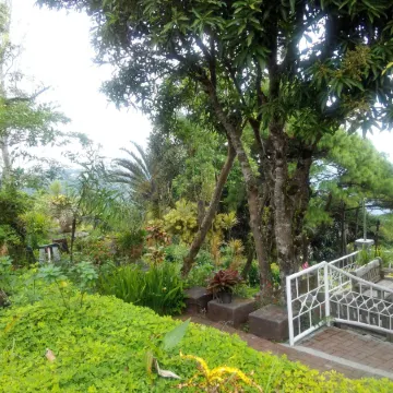 The Carmelence View Villa