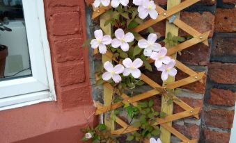 a wooden trellis with pink flowers growing on it , next to a window on a brick building at Guest House