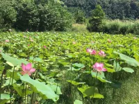 Serendipity Villa Hotels in Kudat