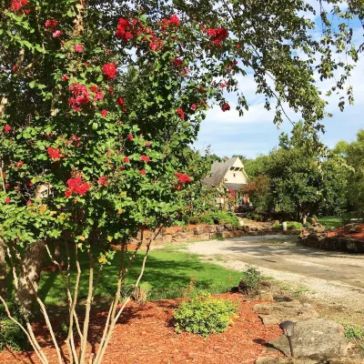 BarDew Valley Inn