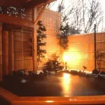 Izukogen Onsen Chiisana Hotel Lemonju