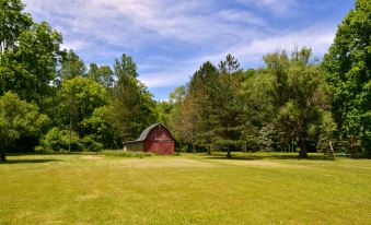 Americas Best Value Inn-Jonesville/Hillsdale