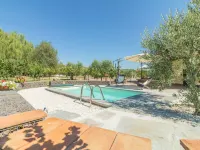 Il Vitigno - Pools