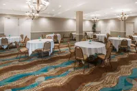 Wyndham Garden Wichita Downtown - Pet-friendly