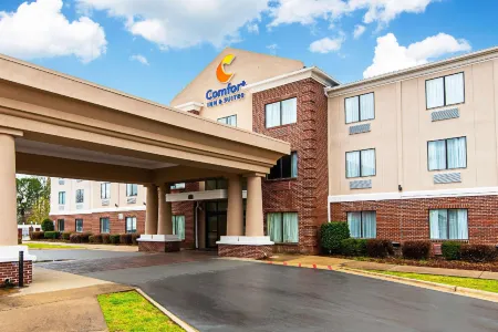 Comfort Inn & Suites Pine Bluff Отели в г. Пайн Блафф