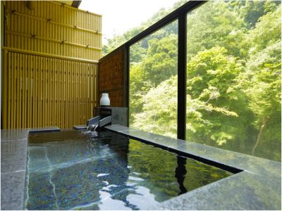 和風の部屋 露天風呂付き (Cタイプ) 箱根湯本温泉 天成園の写真