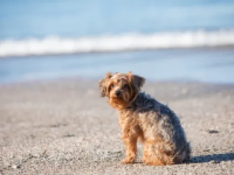 セピアTabist ビジネス宿 セピア 御前崎 御前崎のホテル