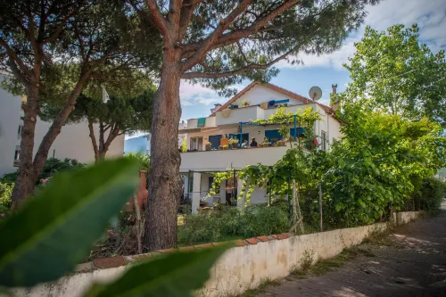 Ecer Pansiyon - pet friendly