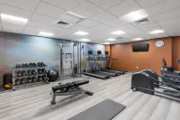 Candlewood Suites ANAHEIM - RESORT AREA by IHG - Træningscentre