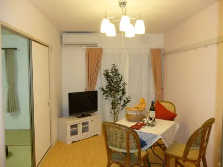 French Apartment Nasukogen Отели в г. Насу