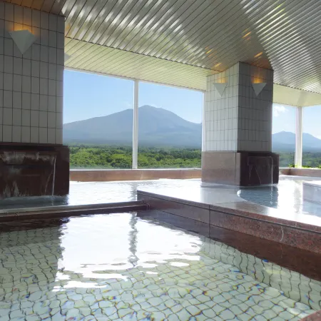 Villa Kitakaruizawa L Wing