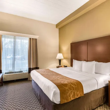 Comfort Suites Columbia Gateway