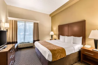Comfort Suites Columbia Gateway