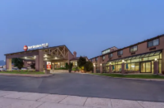 ベストウェスタン プラス コットンツリー イン