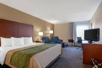 Comfort Inn Charlotte Hotels in Eaton County