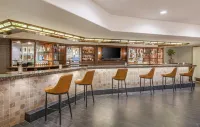 Crowne Plaza SAN DIEGO - MISSION VALLEY by IHG - bar