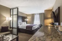Quattro Hotel & Conf Centre, Ascend Hotel Collection Hotels near Zoo Zoo