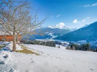 Farmhouse in Hollersbach Near Ski Slopes